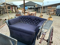 Tweespan spider koets - afbeelding 19 van  26