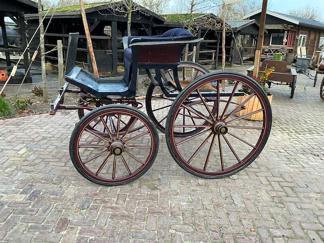 Tweespan spider koets - afbeelding 12 van  26