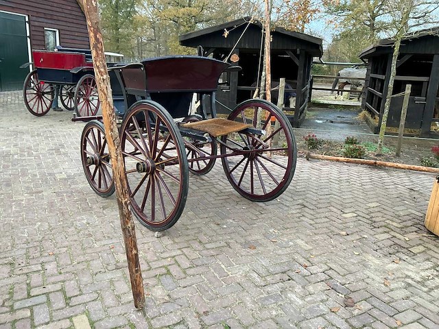 Tweespan spider koets - afbeelding 20 van  26