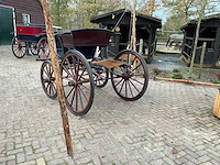Tweespan spider koets - afbeelding 20 van  26