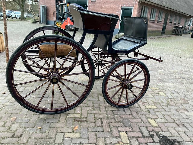 Tweespan spider koets - afbeelding 23 van  26