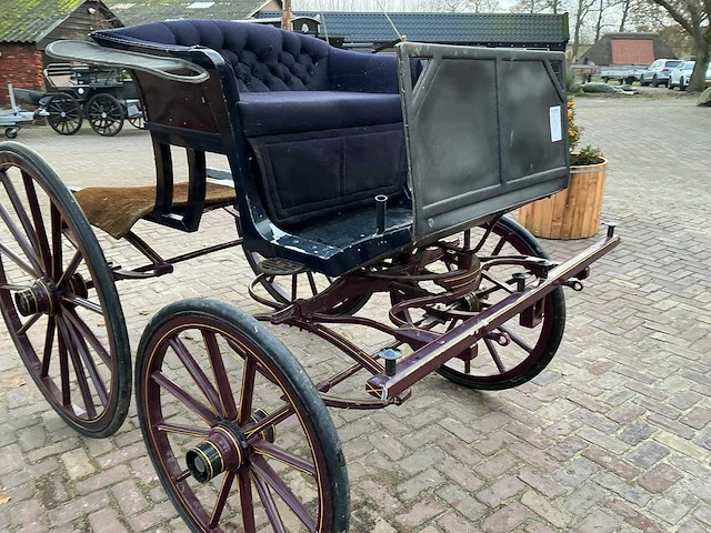 Tweespan spider koets - afbeelding 24 van  26