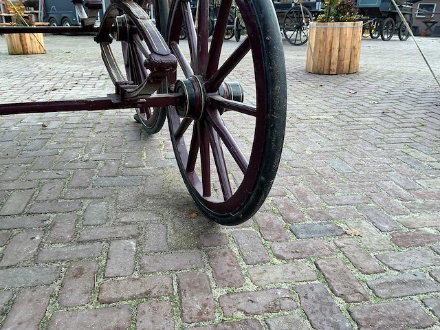 Tweespan spider koets - afbeelding 26 van  26