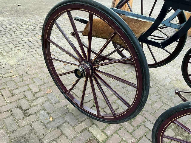 Tweespan spider koets - afbeelding 10 van  26