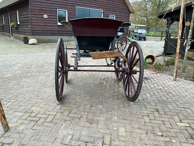 Tweespan spider koets - afbeelding 21 van  26