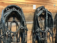 Tweespantuig - afbeelding 1 van  7