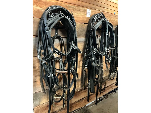 Tweespantuig - afbeelding 2 van  7