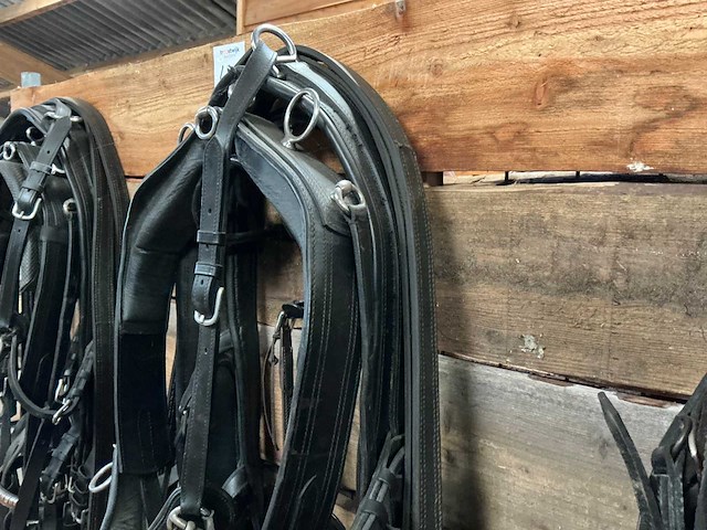 Tweespantuig - afbeelding 4 van  7