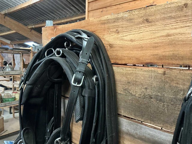 Tweespantuig - afbeelding 5 van  7