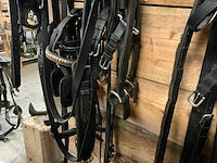 Tweespantuig - afbeelding 6 van  7