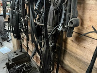 Tweespantuig - afbeelding 7 van  7