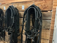 Tweespantuig - afbeelding 1 van  8