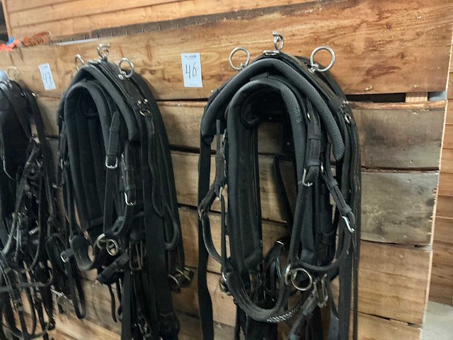 Tweespantuig - afbeelding 2 van  8