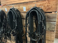 Tweespantuig - afbeelding 2 van  8