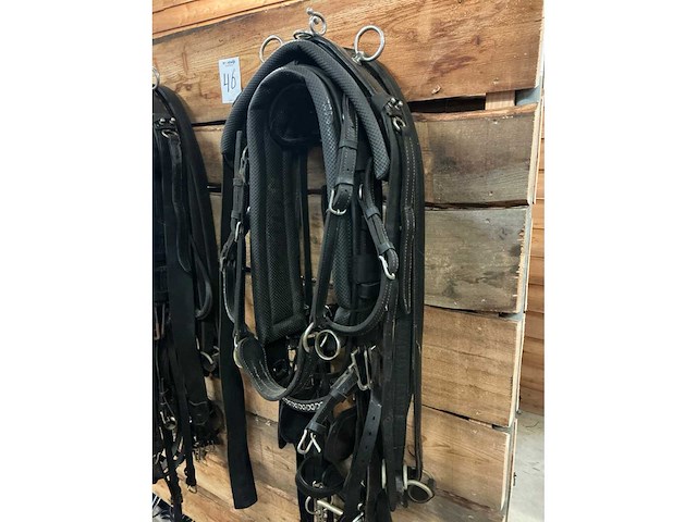 Tweespantuig - afbeelding 3 van  8