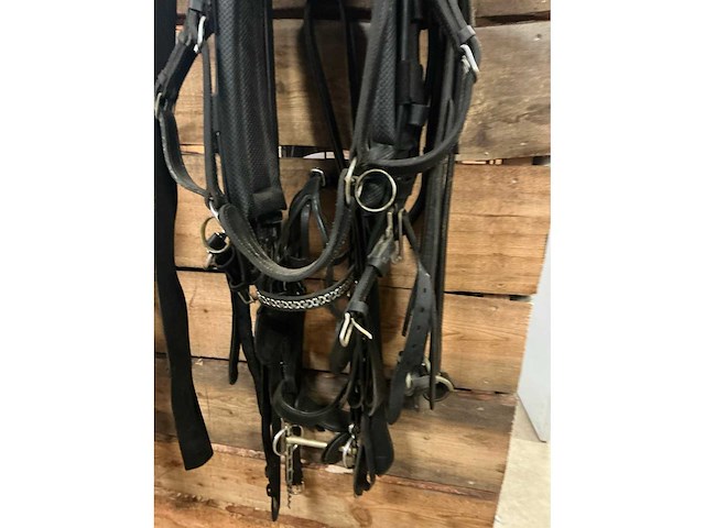 Tweespantuig - afbeelding 4 van  8