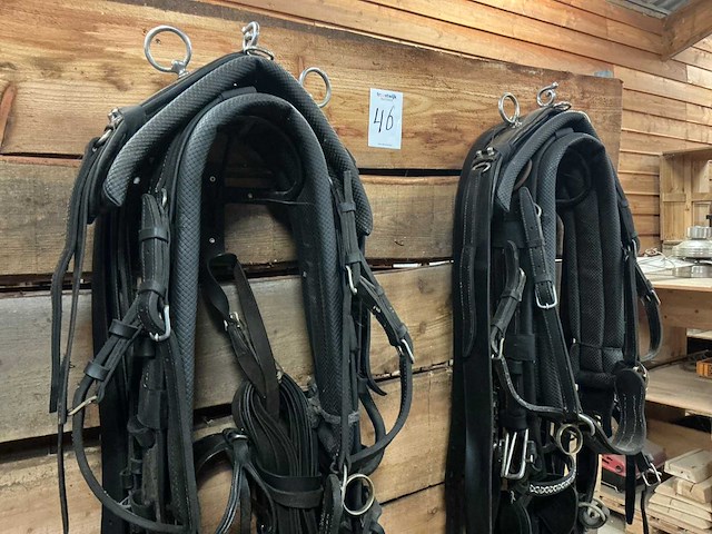 Tweespantuig - afbeelding 5 van  8