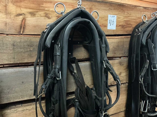 Tweespantuig - afbeelding 6 van  8