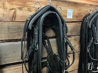 Tweespantuig - afbeelding 6 van  8