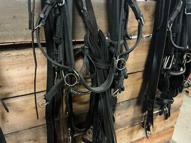 Tweespantuig - afbeelding 7 van  8