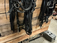 Tweespantuig - afbeelding 8 van  8