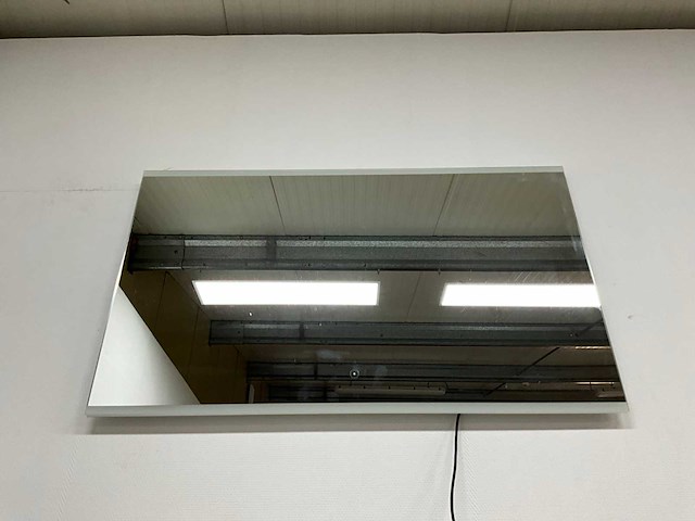 Twinlight - rv12s - spiegel 120 x 70 cm - afbeelding 3 van  6