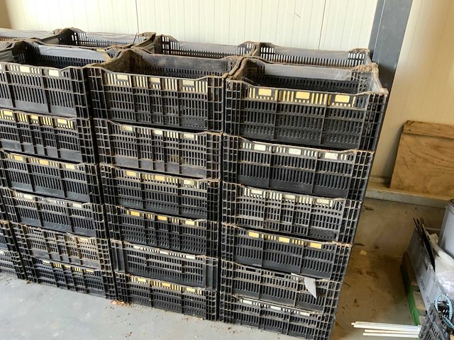 Twinpack / bulbfust / etc. l60 x b40cm stapelkrat (65x) - afbeelding 1 van  8