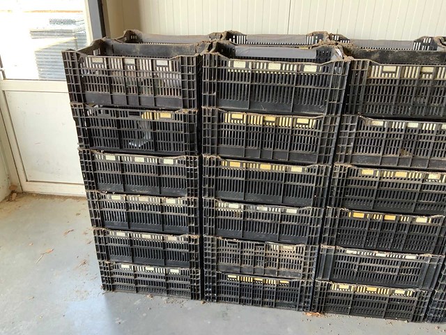 Twinpack / bulbfust / etc. l60 x b40cm stapelkrat (65x) - afbeelding 2 van  8