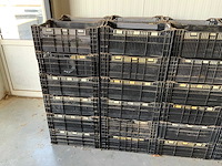 Twinpack / bulbfust / etc. l60 x b40cm stapelkrat (65x) - afbeelding 2 van  8