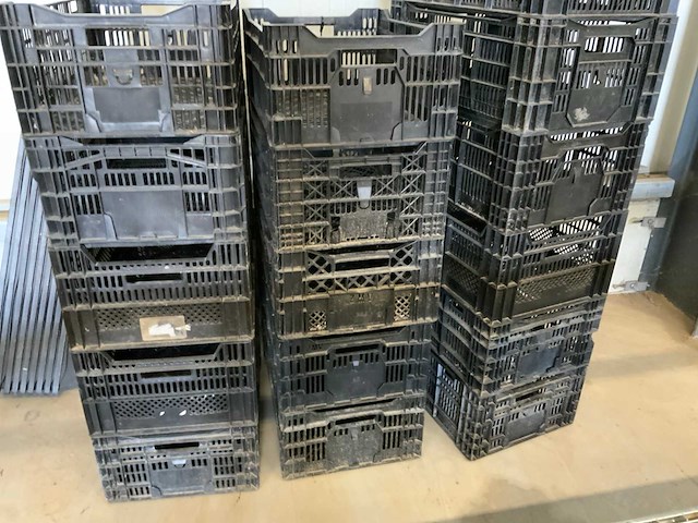 Twinpack / bulbfust / etc. l60 x b40cm stapelkrat (65x) - afbeelding 6 van  8