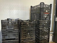 Twinpack / bulbfust / etc. l60 x b40cm stapelkrat (65x) - afbeelding 7 van  8