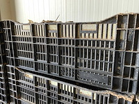 Twinpack / bulbfust / etc. l60 x b40cm stapelkrat (65x) - afbeelding 4 van  8
