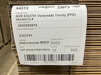 Twinpack kartonnen verzenddoos (3000x) - afbeelding 5 van  6