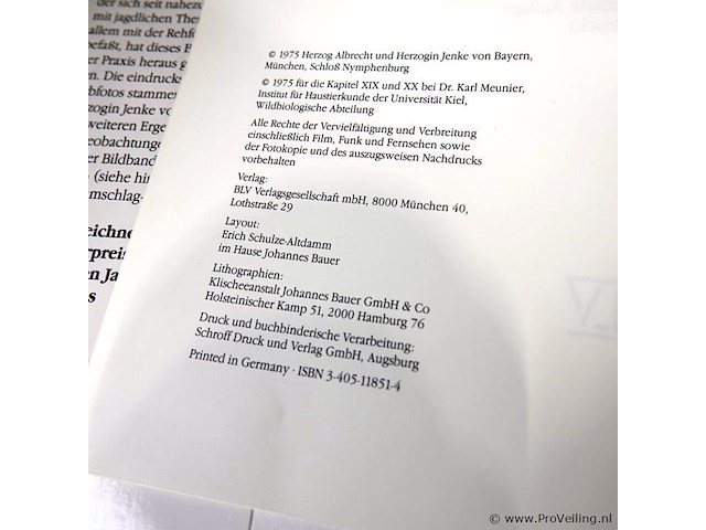 Uber rehe - afbeelding 2 van  5