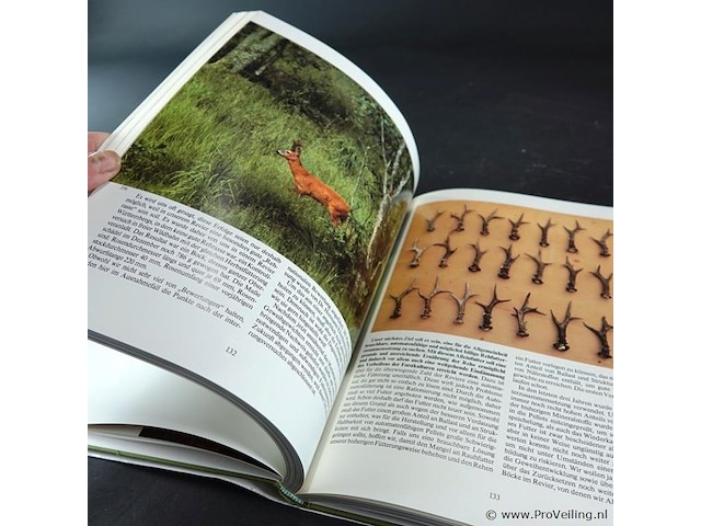 Uber rehe - afbeelding 4 van  5