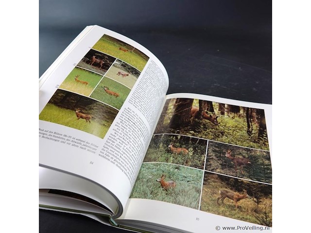 Uber rehe - afbeelding 5 van  5