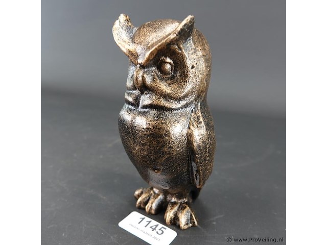 Uil - afbeelding 1 van  5