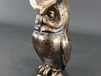 Uil - afbeelding 1 van  5