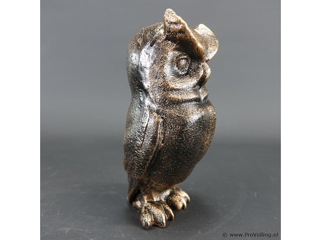 Uil - afbeelding 3 van  5