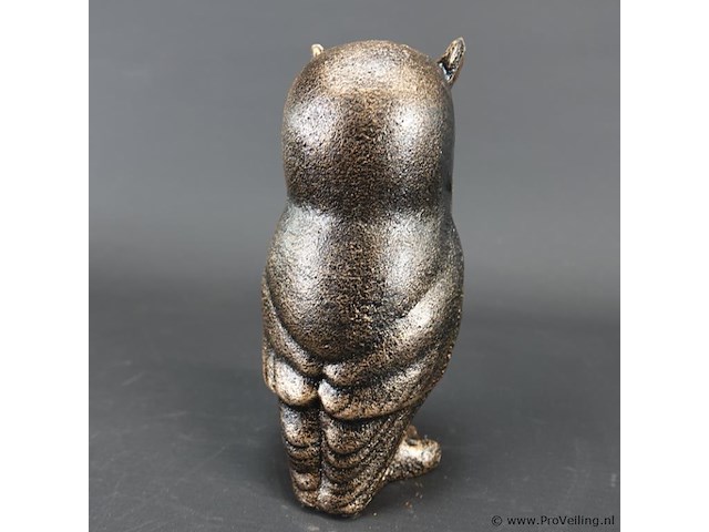 Uil - afbeelding 4 van  5