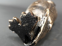 Uil - afbeelding 5 van  5