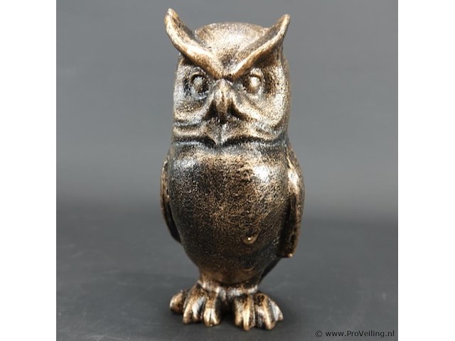 Uil - afbeelding 2 van  5