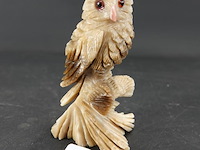 Uiltje - afbeelding 1 van  5