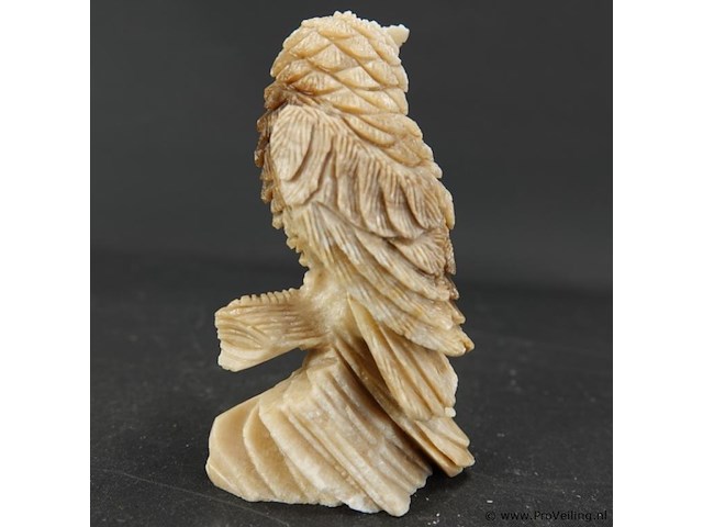 Uiltje - afbeelding 3 van  5