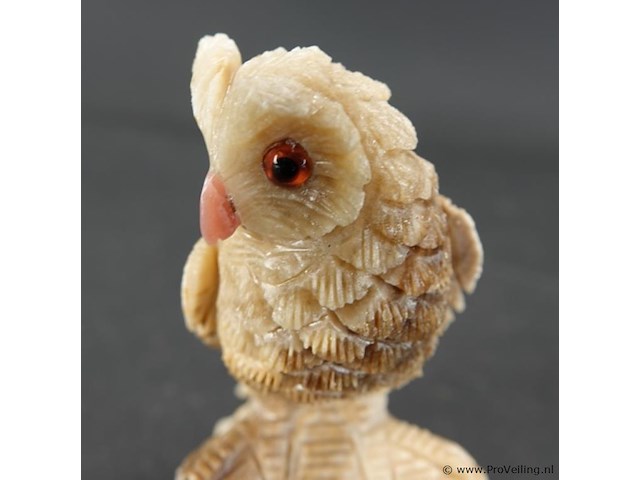 Uiltje - afbeelding 5 van  5