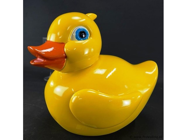 Uit de kluiten gewassen badeend - afbeelding 2 van  5