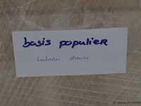 Uitvaartkist | model linalite basis populier - afbeelding 8 van  8