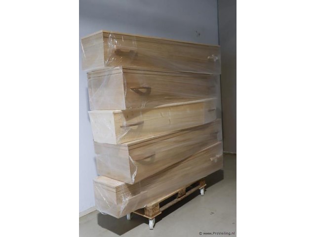 Uitvaartkisten/beenderkist | model 2e keus linalite - 5 stuks - afbeelding 1 van  14