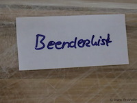 Uitvaartkisten/beenderkist | model 2e keus linalite - 5 stuks - afbeelding 10 van  14