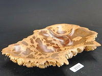 Unieke houten schaal gemaakt van een knoest of burl (wortel-/stamvergroeiing van een boom) - afbeelding 1 van  4